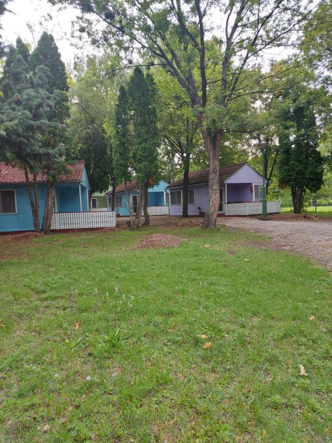 Tulipan Bungalow Camping Resort Gyenesdias Exterior photo